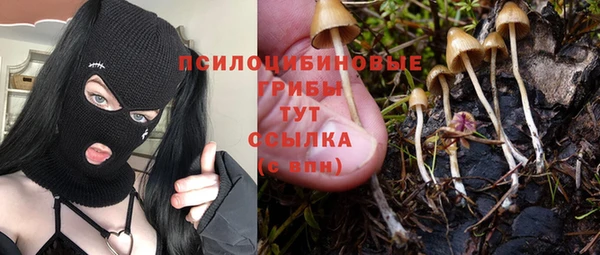кокаин премиум Белокуриха