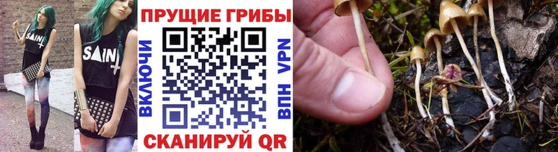 где найти   Кстово  ссылка на мегу вход  Псилоцибиновые грибы GOLDEN TEACHER 